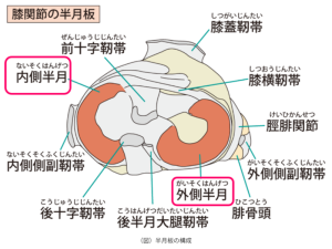 スクリーンショット 2025-11-08 124713