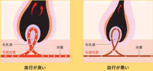 スクリーンショット 2025-12-01 192735